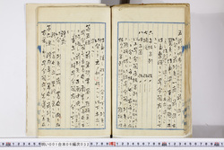 明い001060320004.jpg