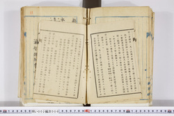 明い002000060006.jpg