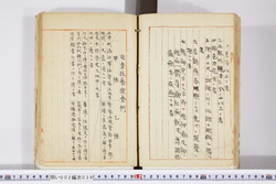 明い002000390006.jpg