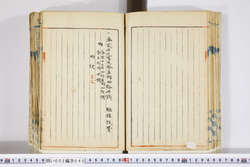 明い002000450002.jpg