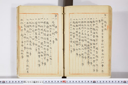 明い002000450002.jpg