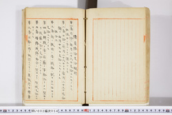 明い002000540002.jpg