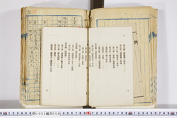 明い002000580004.jpg