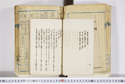明い002000580005.jpg