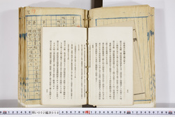 明い002000580011.jpg