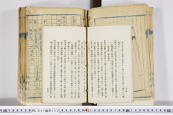明い002000580017.jpg
