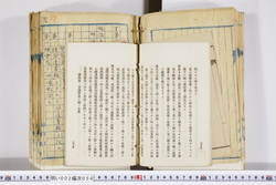 明い002000580018.jpg