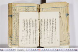 明い002000580020.jpg