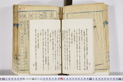 明い002000580025.jpg