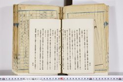 明い002000580028.jpg
