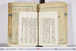明い002000580033.jpg