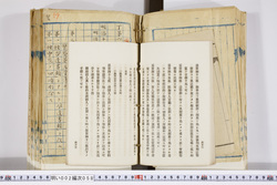 明い002000580036.jpg