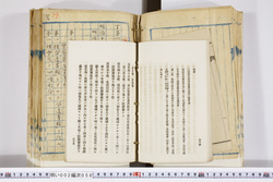明い002000580037.jpg