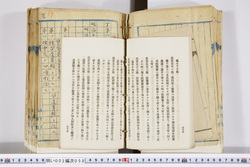 明い002000580038.jpg