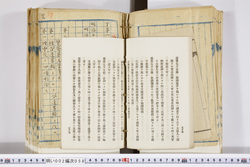 明い002000580042.jpg