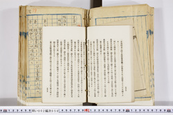 明い002000580044.jpg