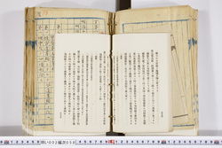 明い002000580048.jpg