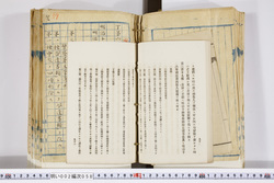 明い002000580050.jpg