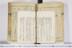 明い002000580052.jpg