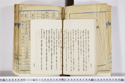 明い002000580053.jpg