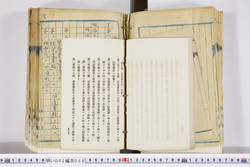 明い002000580054.jpg