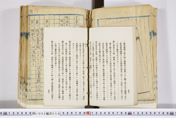 明い002000580056.jpg