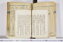 明い002000580059.jpg
