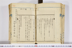 明い002000690003.jpg