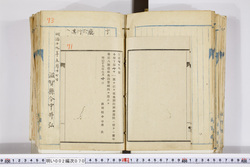 明い002000700003.jpg