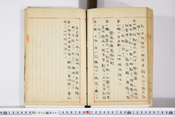 明い002000810002.jpg
