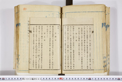 明い002000830003.jpg