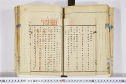 明い002000850002.jpg