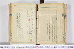 明い002000870003.jpg