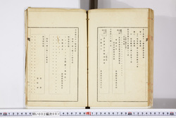 明い002000910002.jpg