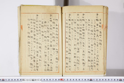 明い002000940004.jpg