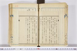 明い002001060003.jpg