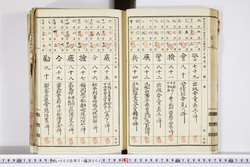 明い003010020008.jpg