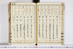 明い003010020009.jpg