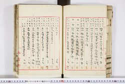明い003020030004.jpg