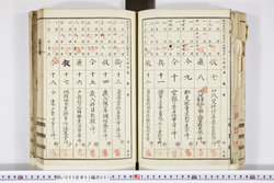 明い003030010002.jpg