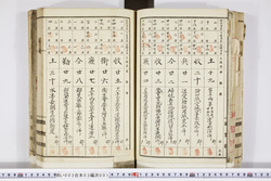 明い003030010003.jpg