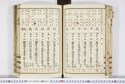 明い003030010006.jpg