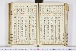 明い003030010008.jpg