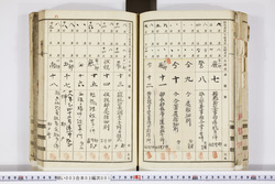 明い003030010011.jpg