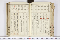 明い003030010014.jpg