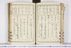 明い003030010016.jpg