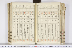 明い003030020002.jpg
