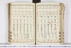 明い003030020007.jpg
