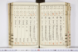 明い003030020008.jpg