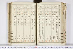 明い003030020009.jpg